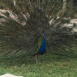 Meet your Posher, Lawanda